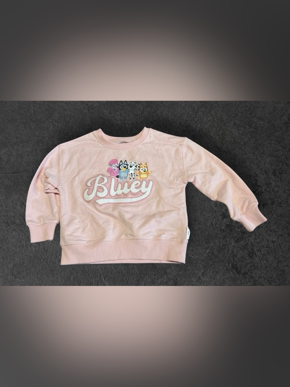NWT Toddler Girl Bluey French Terry Pullover - Pink SZ 5 T